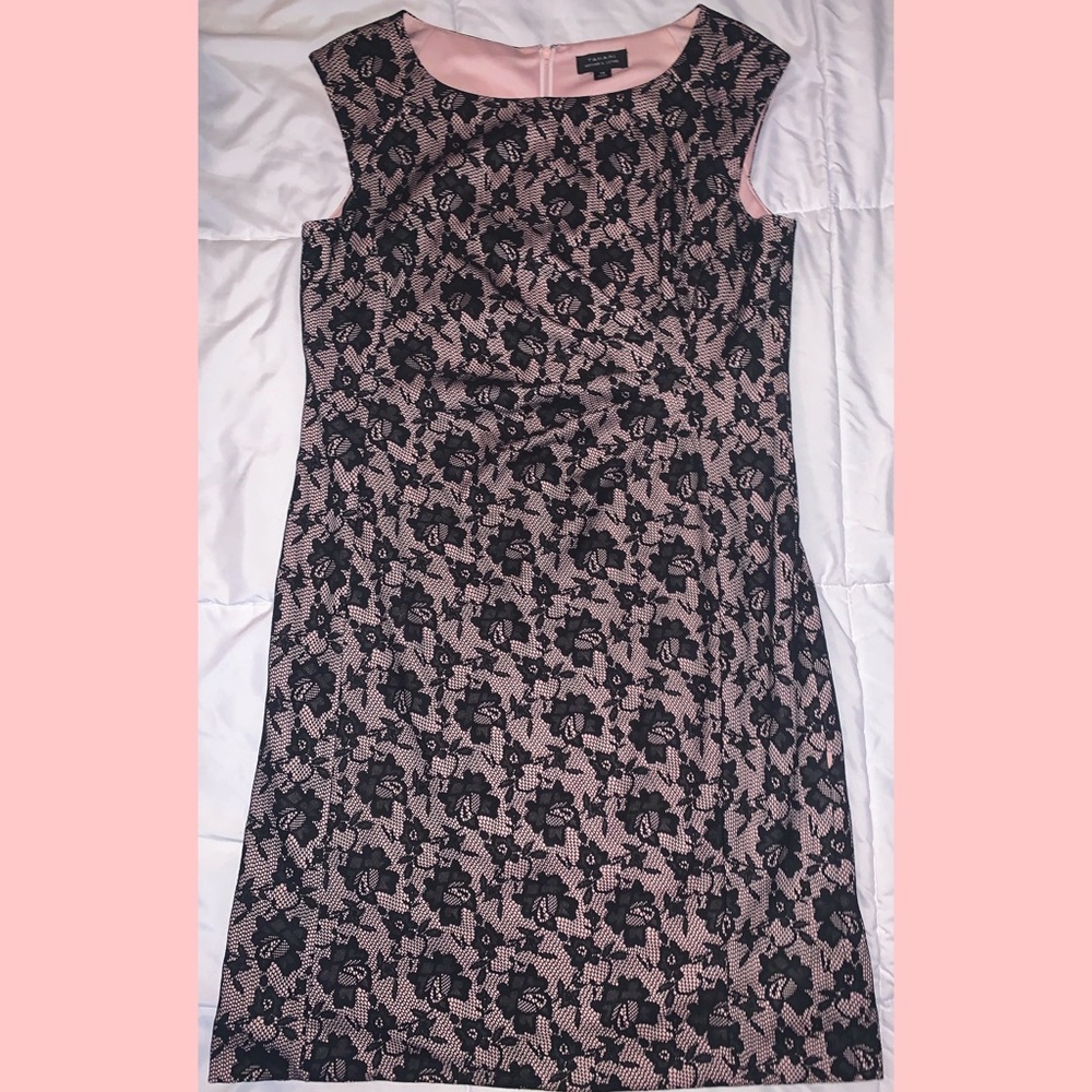 Tahari Dress